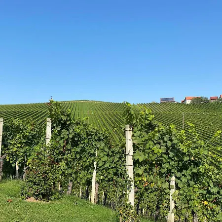Wein Kultur Apartment Flavia Solva Wagna Exterior photo